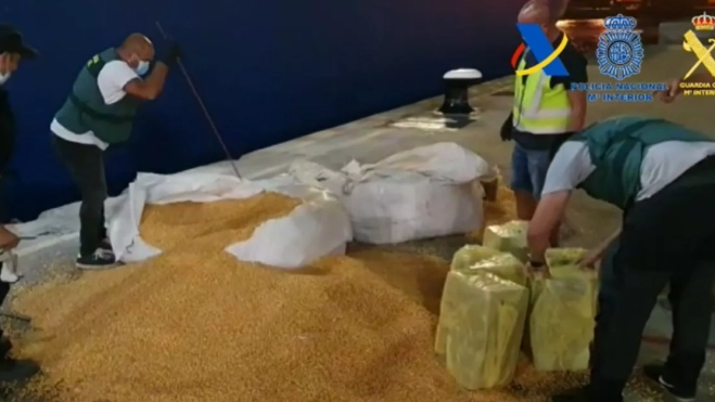 gentes de la Guardia Civil y de Vigilancia Aduanero buscan la cocaína entre el millo que transportada el buque 'Unispirti', con escala en el Puerto de La Luz y de Las Palmas tras zarpar de Brasil. / AH