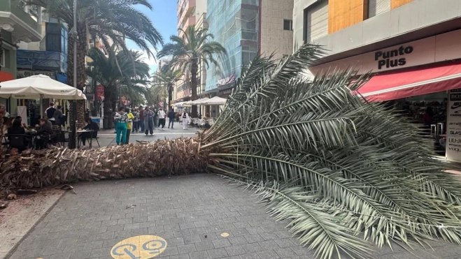 Diseño sin título (1) copia Diseño sin título (1) copia