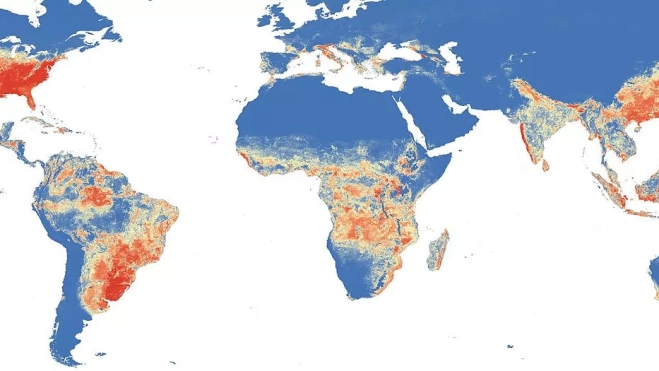 Distribución global de 'Aedes albopictus'. /Wikimedia