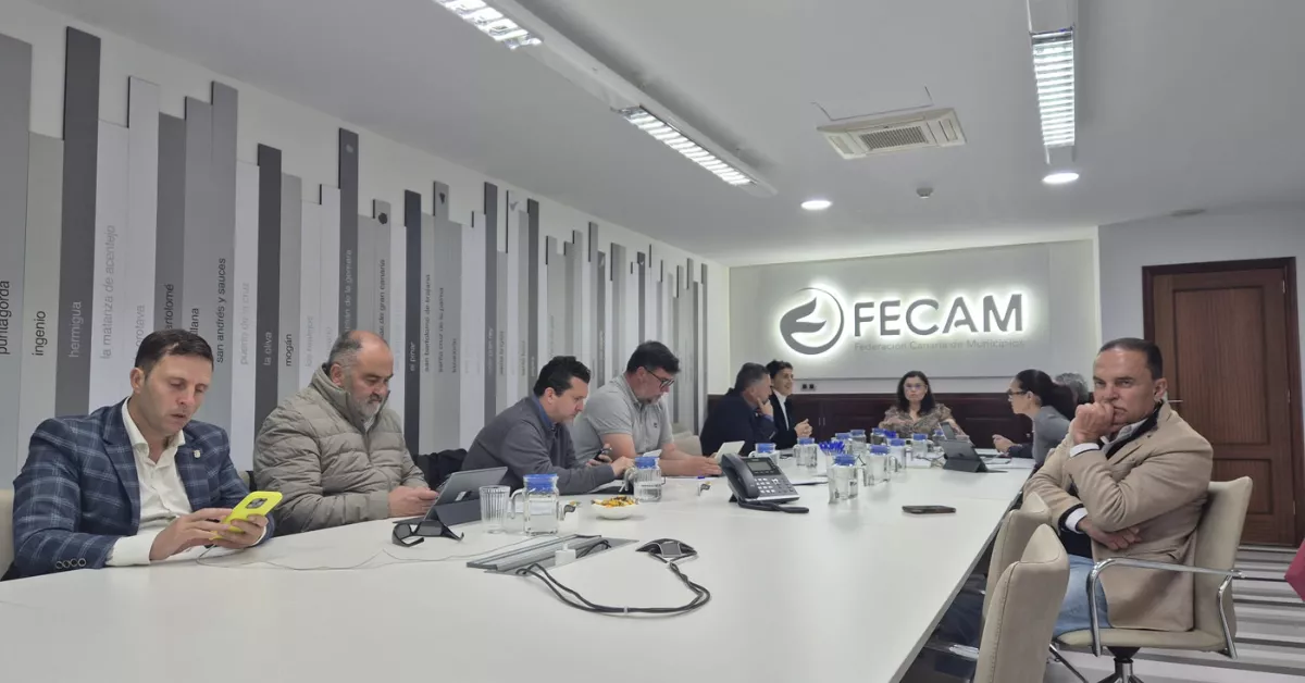 Comité Extraordinario de la FECAM sobre la ley de Vivienda Vacacional./ FECAM