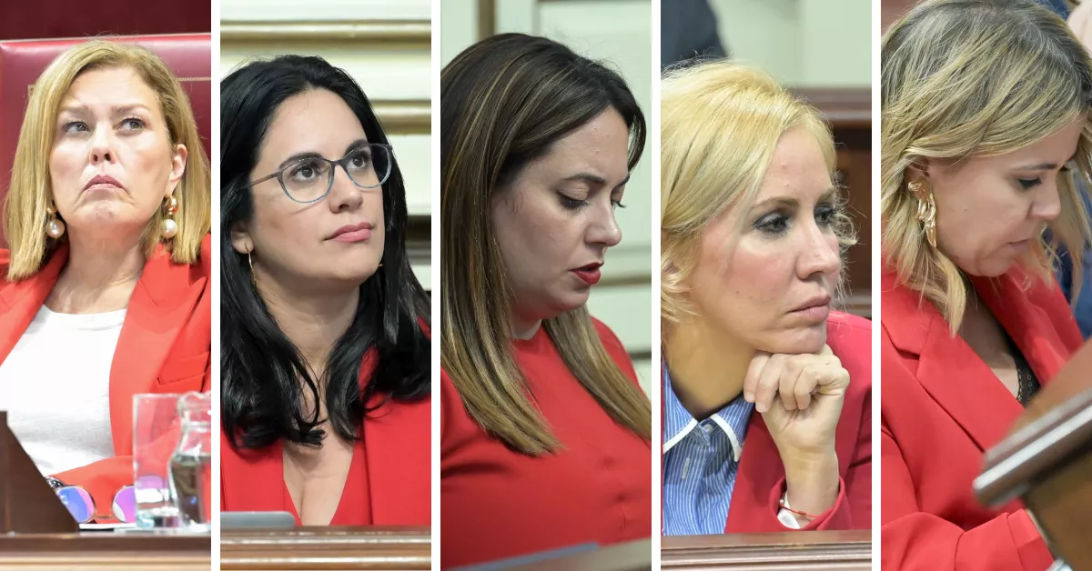 De izquierda a derecha, las diputadas Astrid Pérez (PP, presidenta del Parlamento canario), Vidina Espino (CC), Cristina Calero (CC), Rebeca Paniagua (PP) y Jennifer Curbelo (PP)./ ESTEFANÍA BRIGANTY