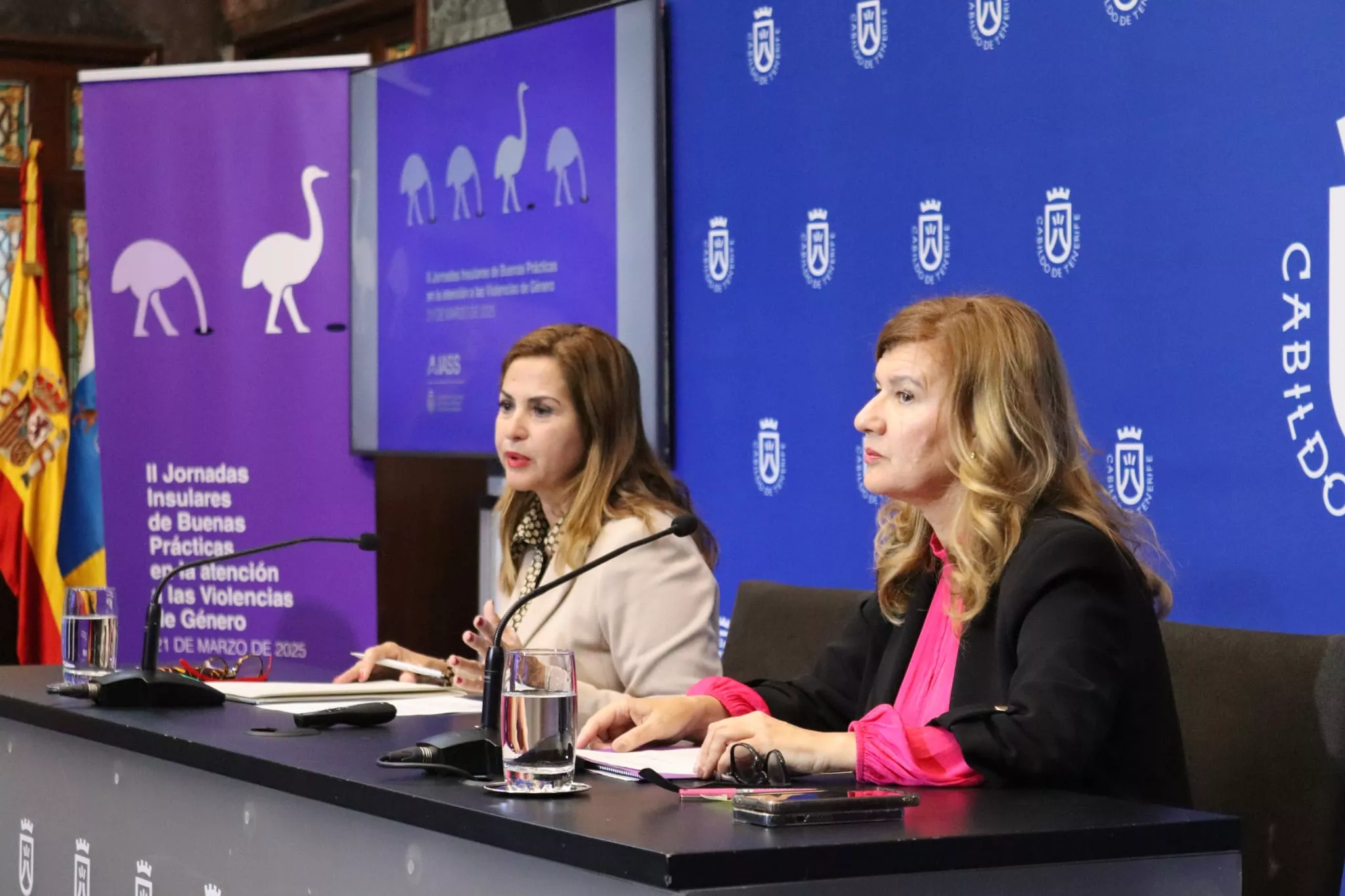 La consejera de Acción Social del Cabildo de Tenerife, Águeda Fumero (i), y lala responsable de la Unidad Orgánica de Violencia de Género, Socorro González. / ATLÁNTICO HOY