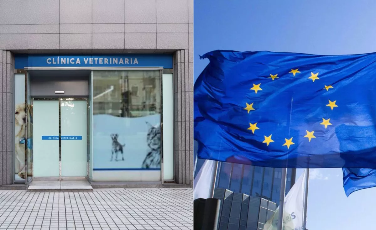 Montaje de una clínica veterinaria |Servimedia