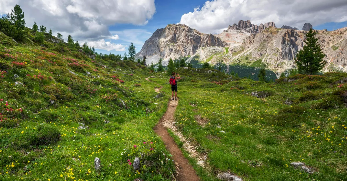 Imagen de una ruta natural / PEXELS