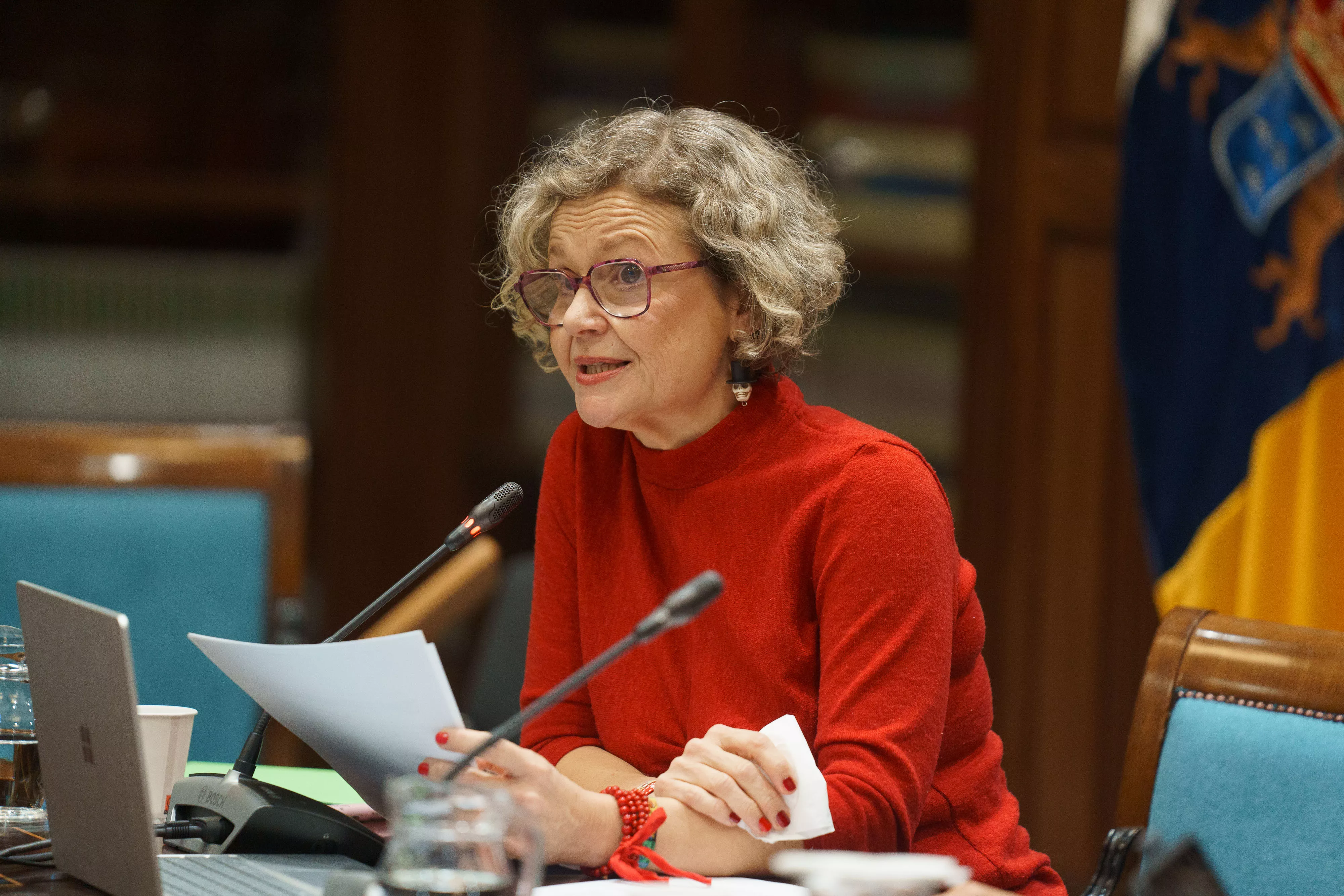 La portavoz del Colectivo Madres VIVA (Valientes, Insistentes, Veraces y Amorosas), María Fernanda Santana Cruz, en el Parlamento de Canarias. / RAMÓN DE LA ROCHA-EFE