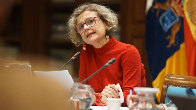 La portavoz del Colectivo Madres VIVA (Valientes, Insistentes, Veraces y Amorosas), María Fernanda Santana Cruz, en el Parlamento de Canarias. / RAMÓN DE LA ROCHA-EFE