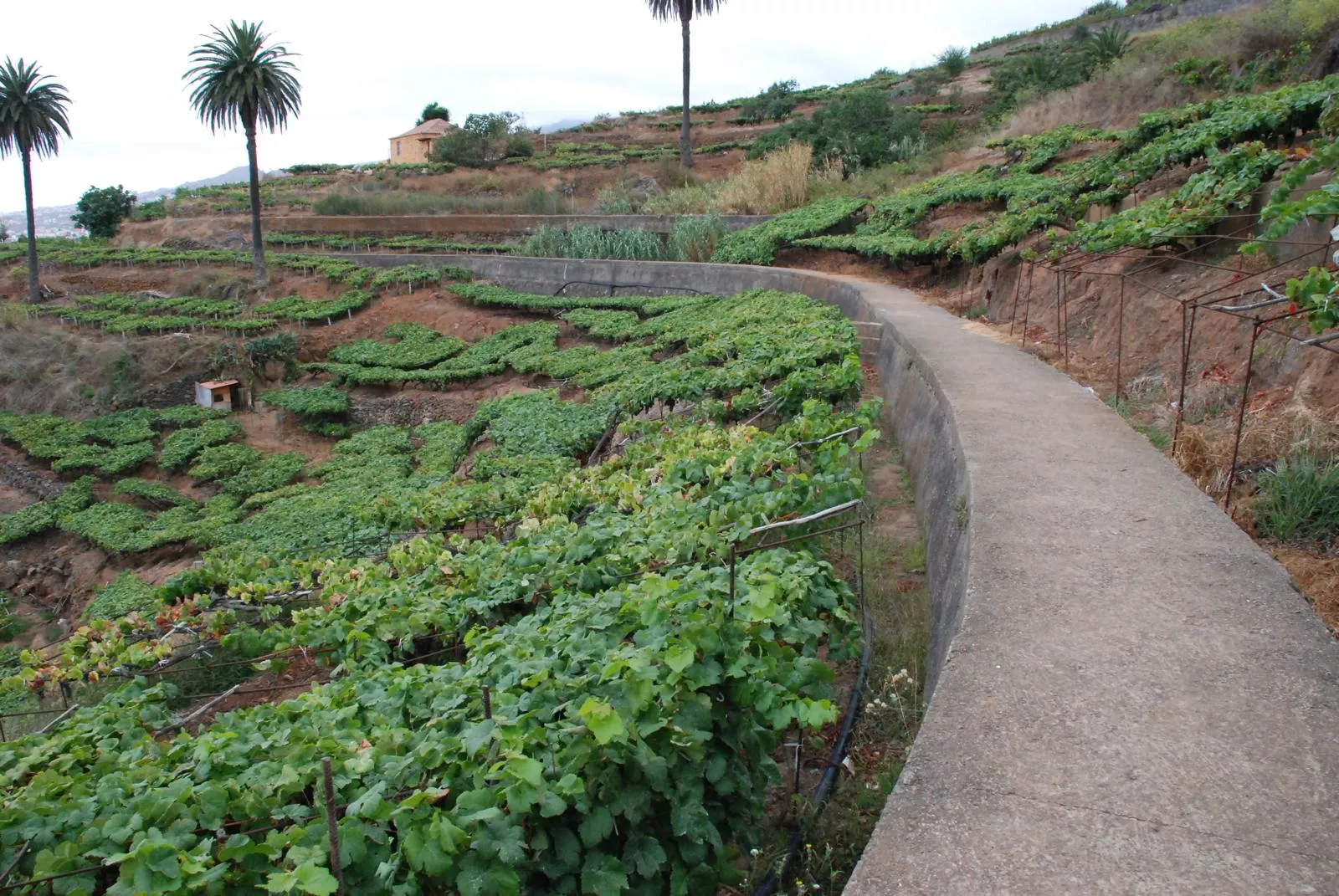 Canal del Norte. / CEDIDA