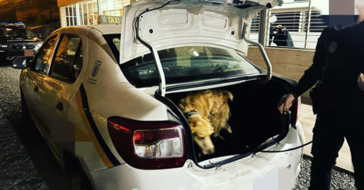 Imagen del taxi del detenido / POLICÍA LOCAL
