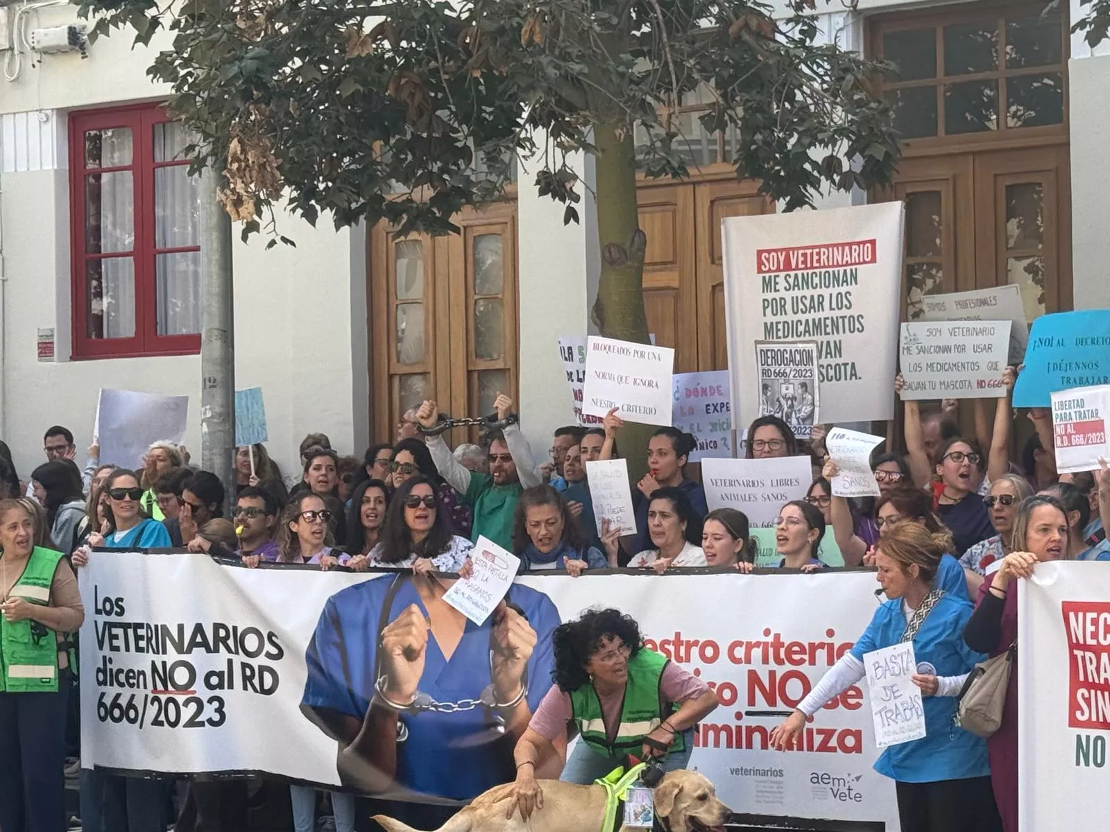 Movilización de los veterinarios en la Subdelegación del Gobierno de Canarias en Tenerife. / ATLÁNTICO HOY