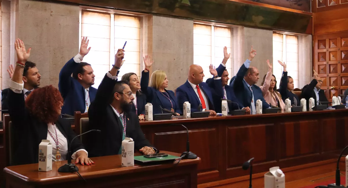 Concejales de Coalición Canaria, Partido Popular y Vox votan a favor de la moción de censura que ha alzado a José Domingo Regalado nuevo alcalde de Granadilla de Abona. / AINOHA CRUZ-AH 