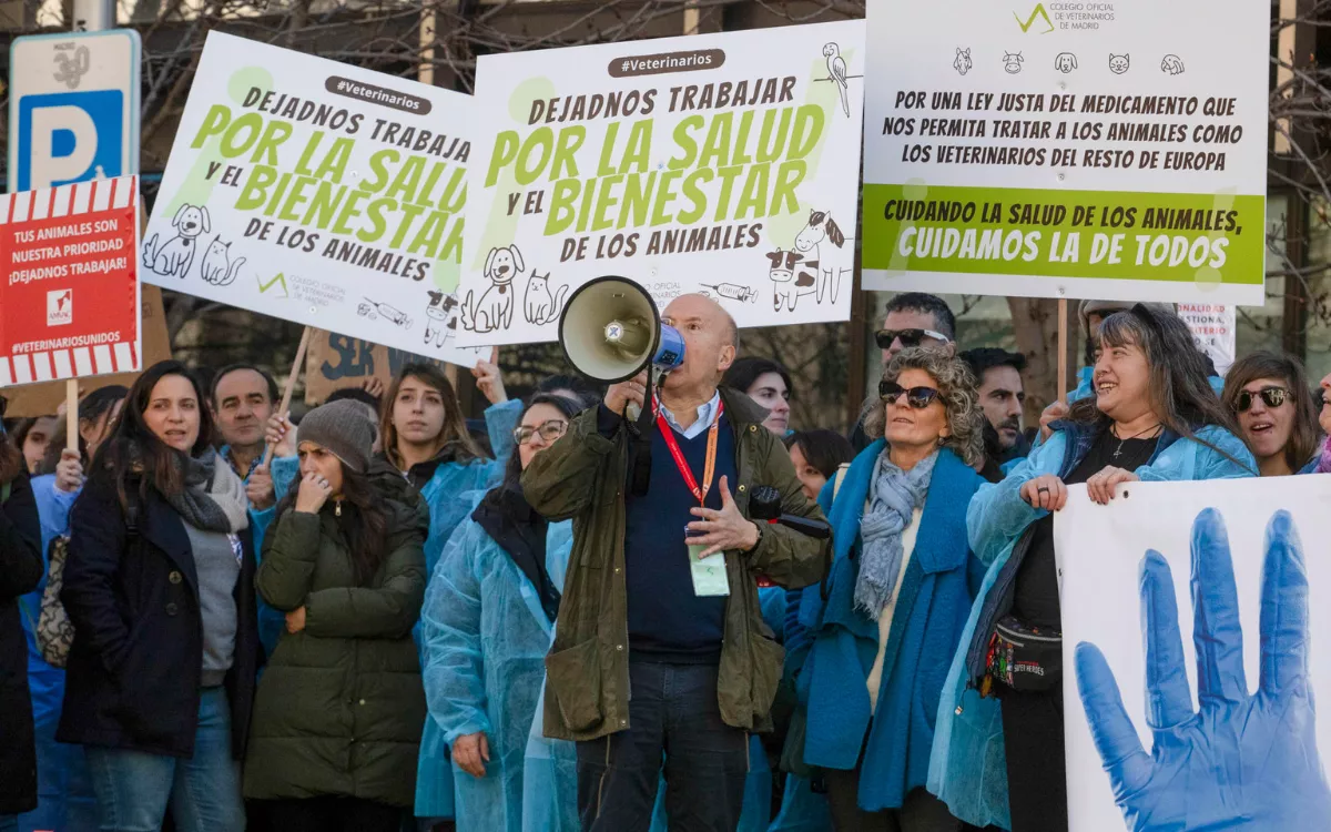 Los veterinarios canarios reúnen 20.500 firmas contra una ley que les impide hacer bien su trabajo. / ALBERTO AGUADO-EFE