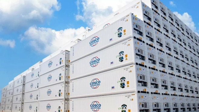 Detalle de los contenedores refrigerados que transportan los buques gestionados por Vasco para la naviera Cosco. / AH