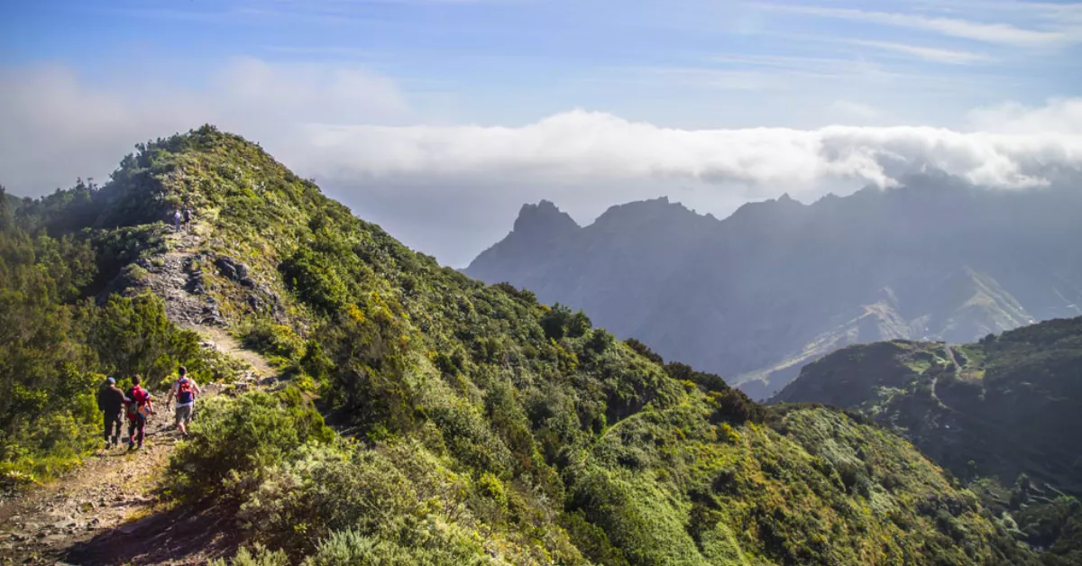 Imagen del sendero PR-TF 2 Taborno - Pico del Inglés - Valleseco / CABILDO DE TENERIFE