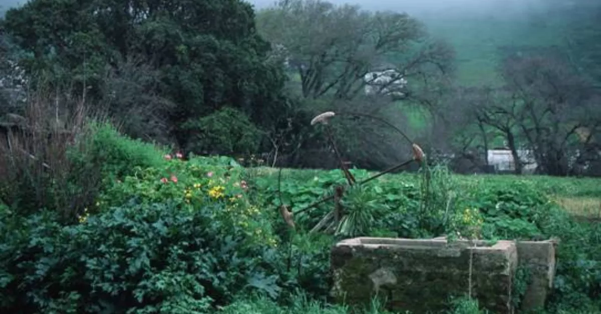 Imagen de un pozo de agua en Canarias, como los que están en Tenerife. / GOBIERNO DE CANARIAS Imagen de un pozo de agua en Canarias, como los que están en Tenerife. / GOBIERNO DE CANARIAS