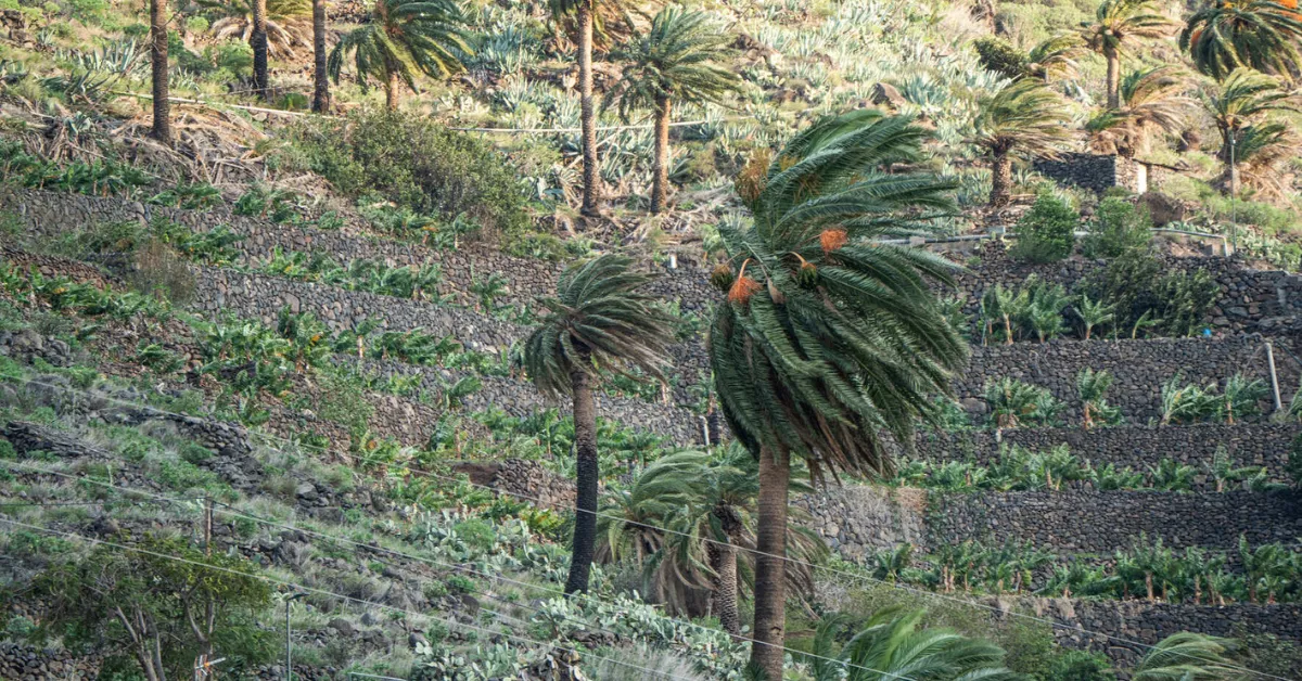 Imagen de viento en La Gomera / CABILDO DE LA GOMERA