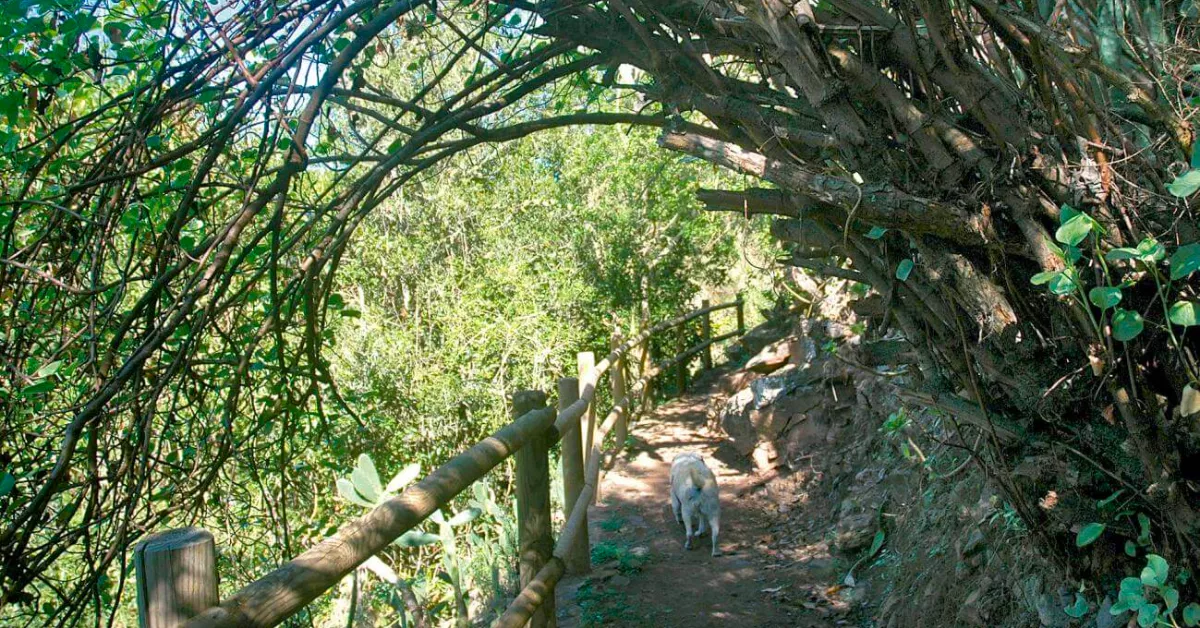 Imagen de una parte del sendero ideal para hacer en abril / HOLA ISLAS CANARIAS