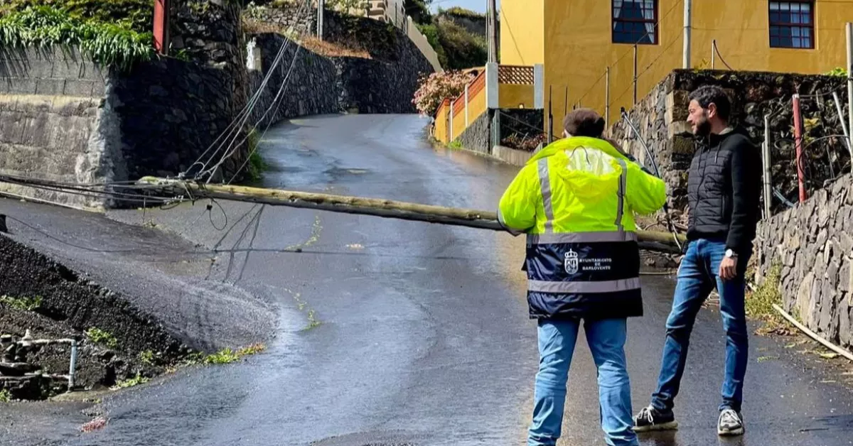 Un poste eléctrico caído en el municipio de Barlovento a causa del viento de la borrasca Nuria./ AYUNTAMIENTO DE BARLOVENTO
