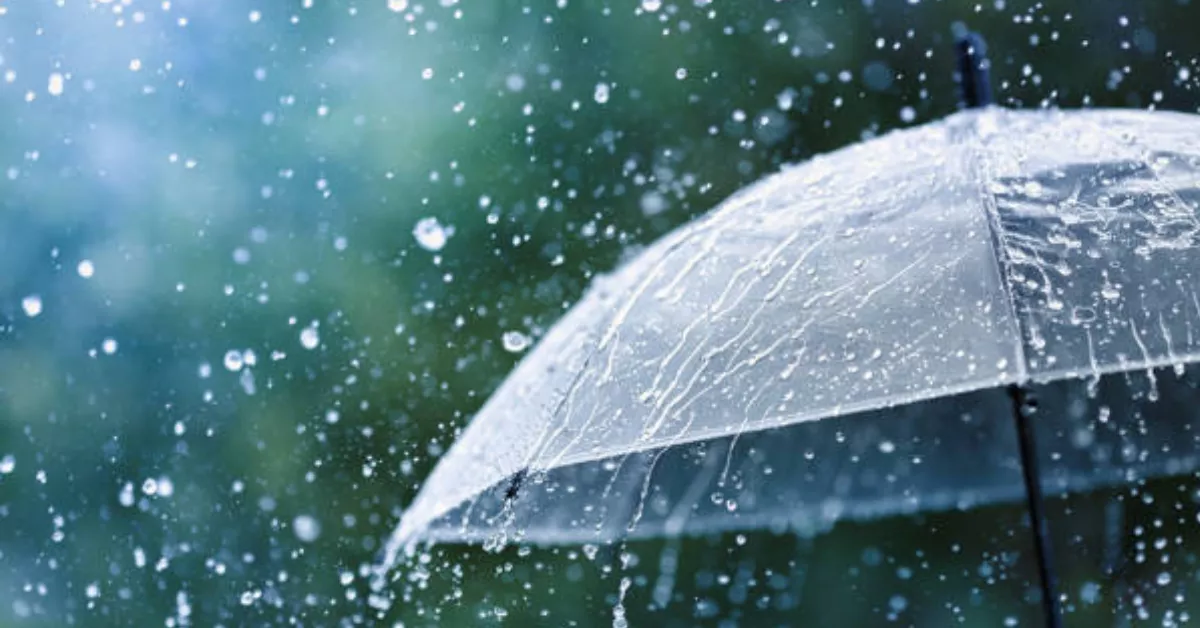 Imagen de lluvia / EFE