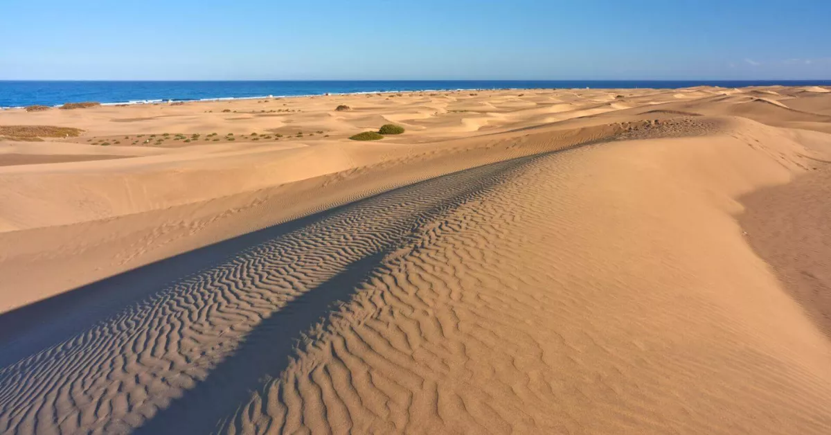 Imagen de las Dunas de Maspalomas / HOLA ISLAS CANARIAS