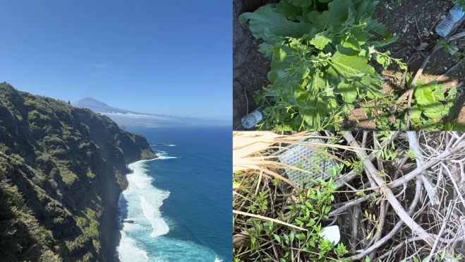 Basura en la ladera del mirador de los 500 escalones de Tacoronte. / ATLÁNTICO HOY
