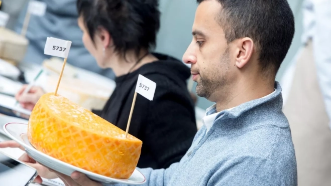 Diseño sin título copia