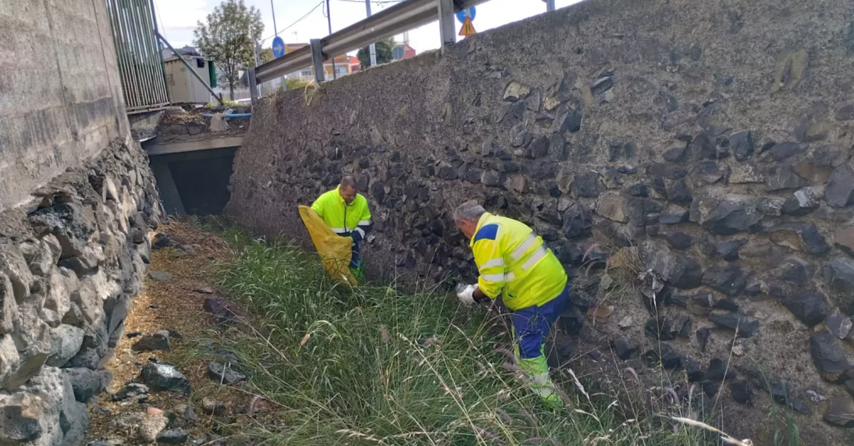 Operarios del servicio municipal de limpieza de Las Palmas de Gran Canaria./ CEDIDA
