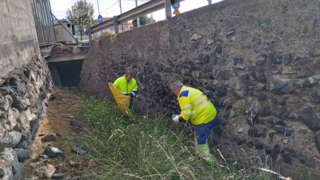 Operarios del servicio municipal de limpieza de Las Palmas de Gran Canaria./ CEDIDA