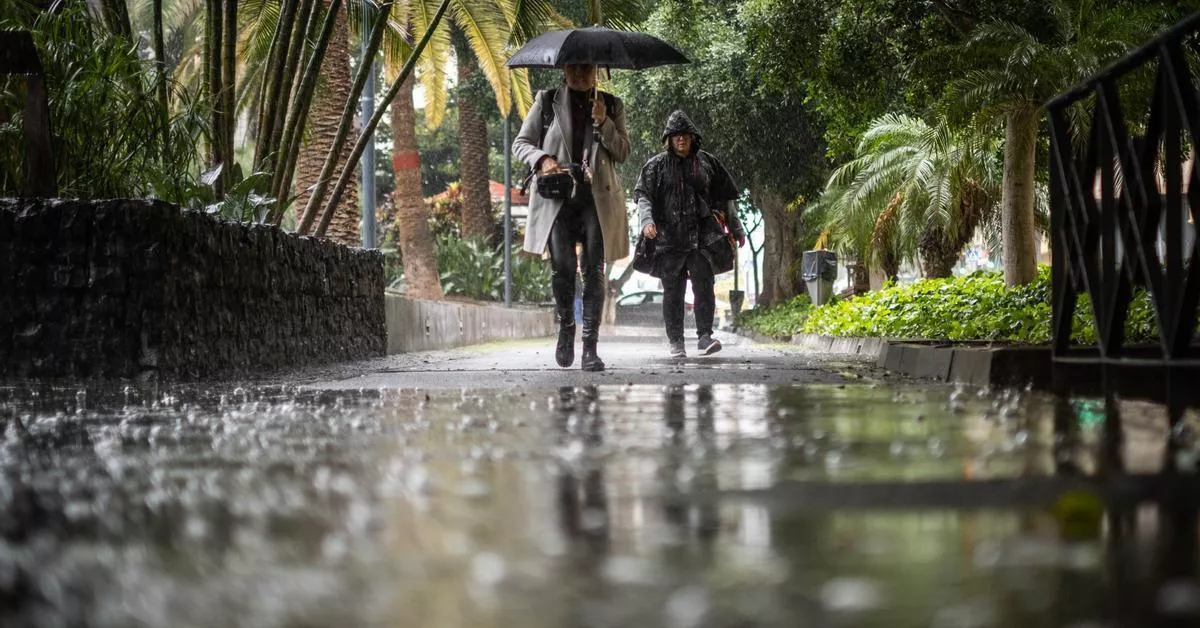 Dos personas caminan bajo la lluvia de una borrasca por el parque García Sanabria de Santa Cruz de Tenerife./ ARCHIVO