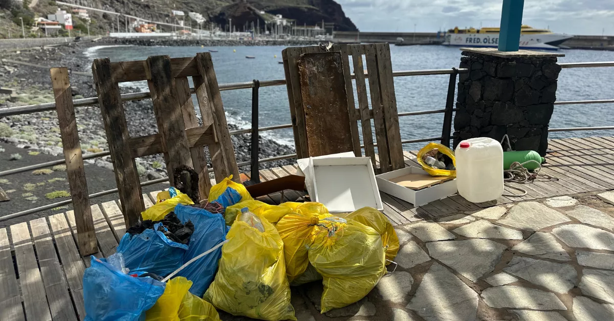 131 kilos de residuos recogidos por Fred. Olsen durante la limpieza de litoral en El Hierro./ CEDIDA