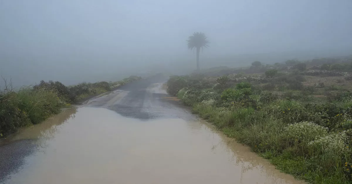 Niebla en la zona de Las Nieves, en el municipio de Teguise, tras el paso de la borrasca 'Olivier' por Lanzarote. EFE/Adriel Perdomo