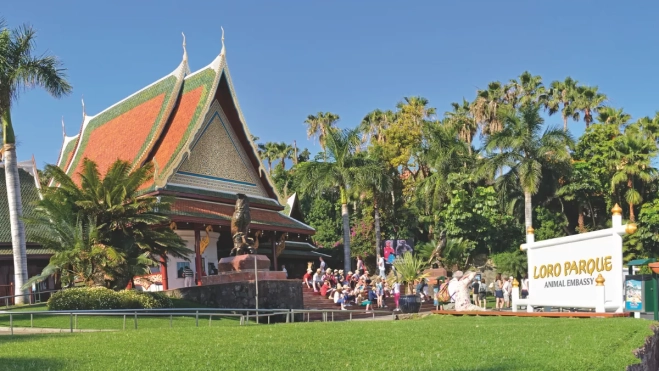 Diseño sin título copia