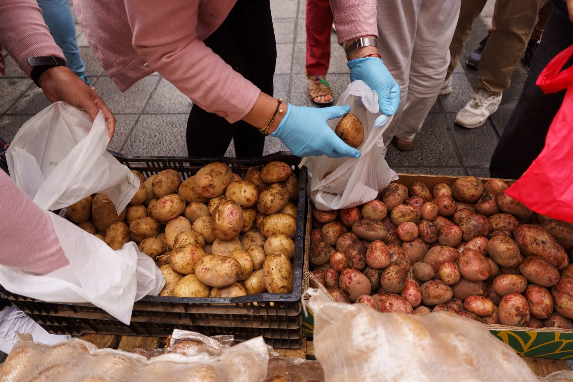 Foto de archivo de unos agricultores repartiendo papas en La Laguna (Tenerife). / EFE