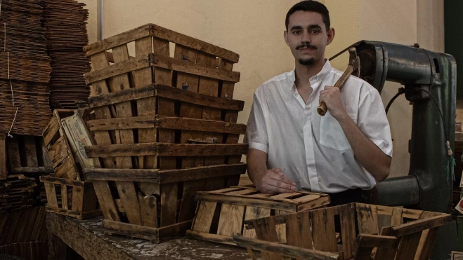 Momento de la zafra del tomate en el sureste de Gran Canaria. / EFE / Canarias Retro