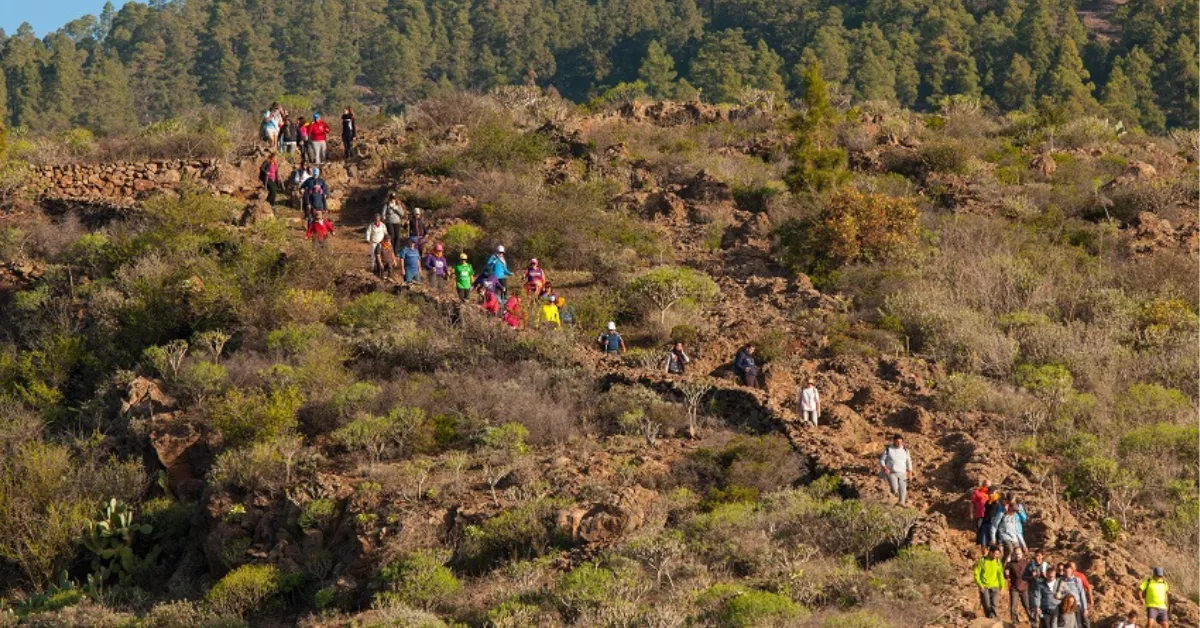 Ruta del camino del Hermano Pedro|AYUNTAMIENTODEGRANADILLA