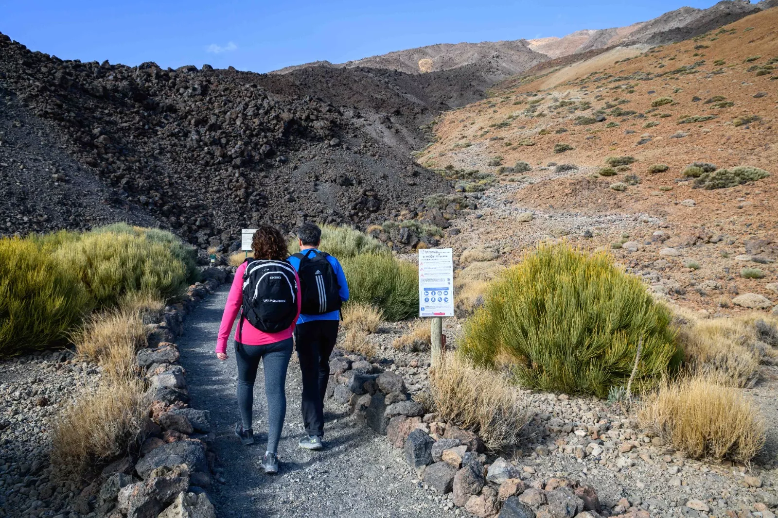 Sendero en el Parque Nacional del Teide. / CABILDO DE TENERIFE