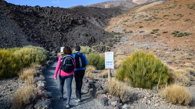 Sendero en el Parque Nacional del Teide. / CABILDO DE TENERIFE