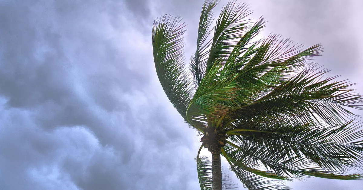 Imagen de viento / PEXELS
