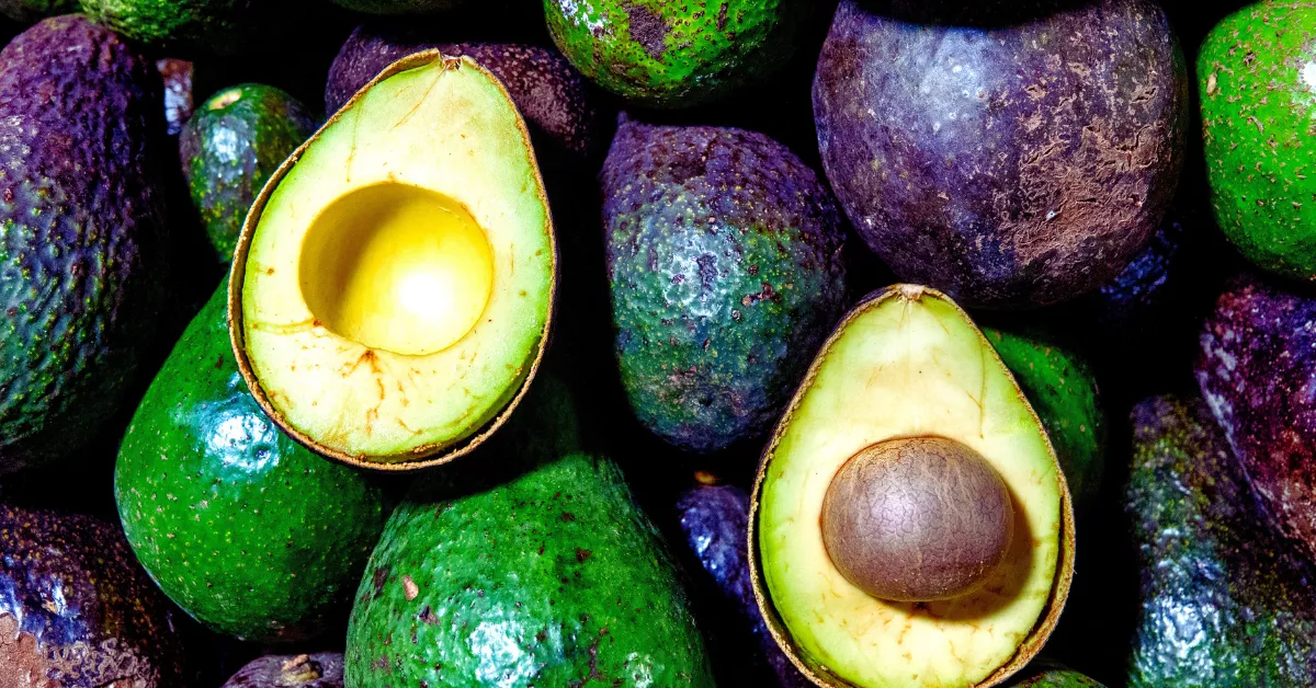 Imagen de aguacate. / CANVA