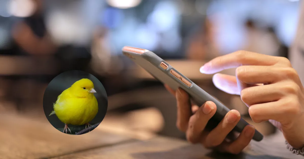 Una persona mirando su WhatsApp / MONTAJE AH