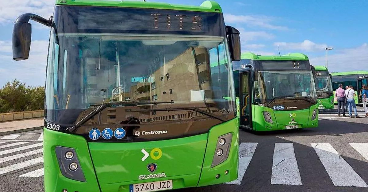 Imagen de una guagua de Titsa / CABILDO DE TENERIFE