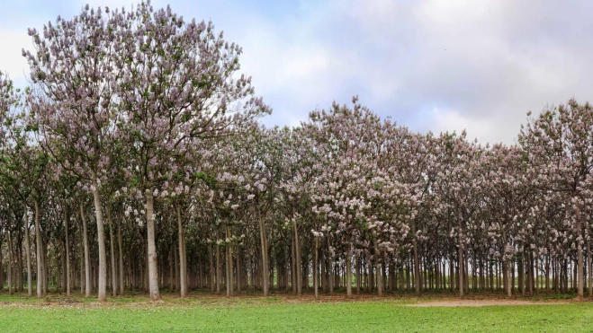 Diseño sin título (1)