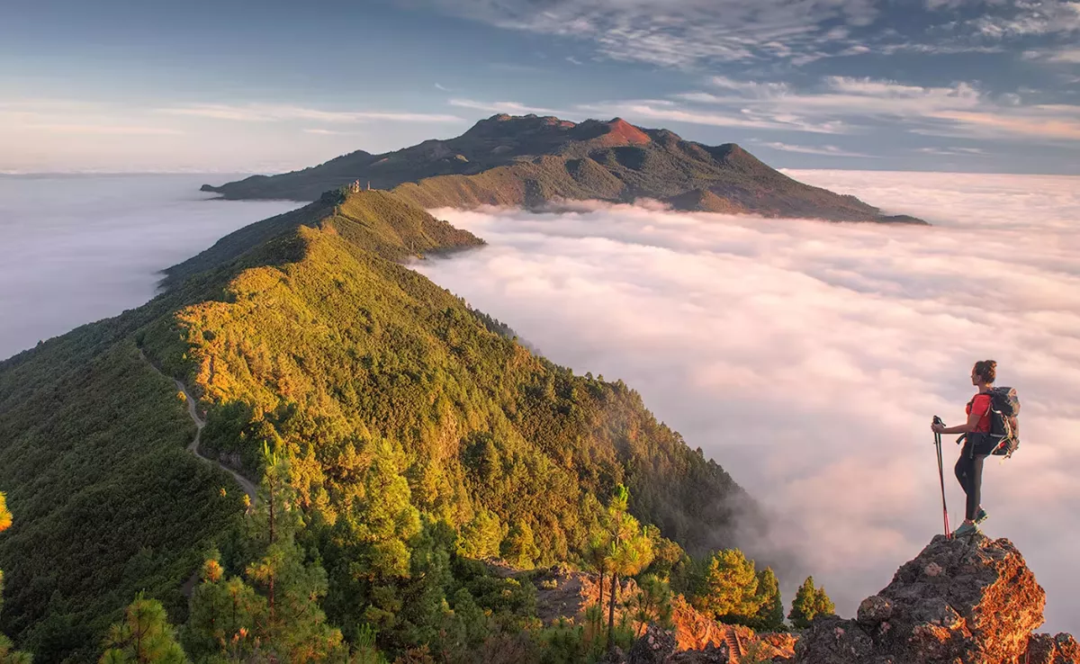 El verde de las estrellas no es el mismo que el del dinero. / AH