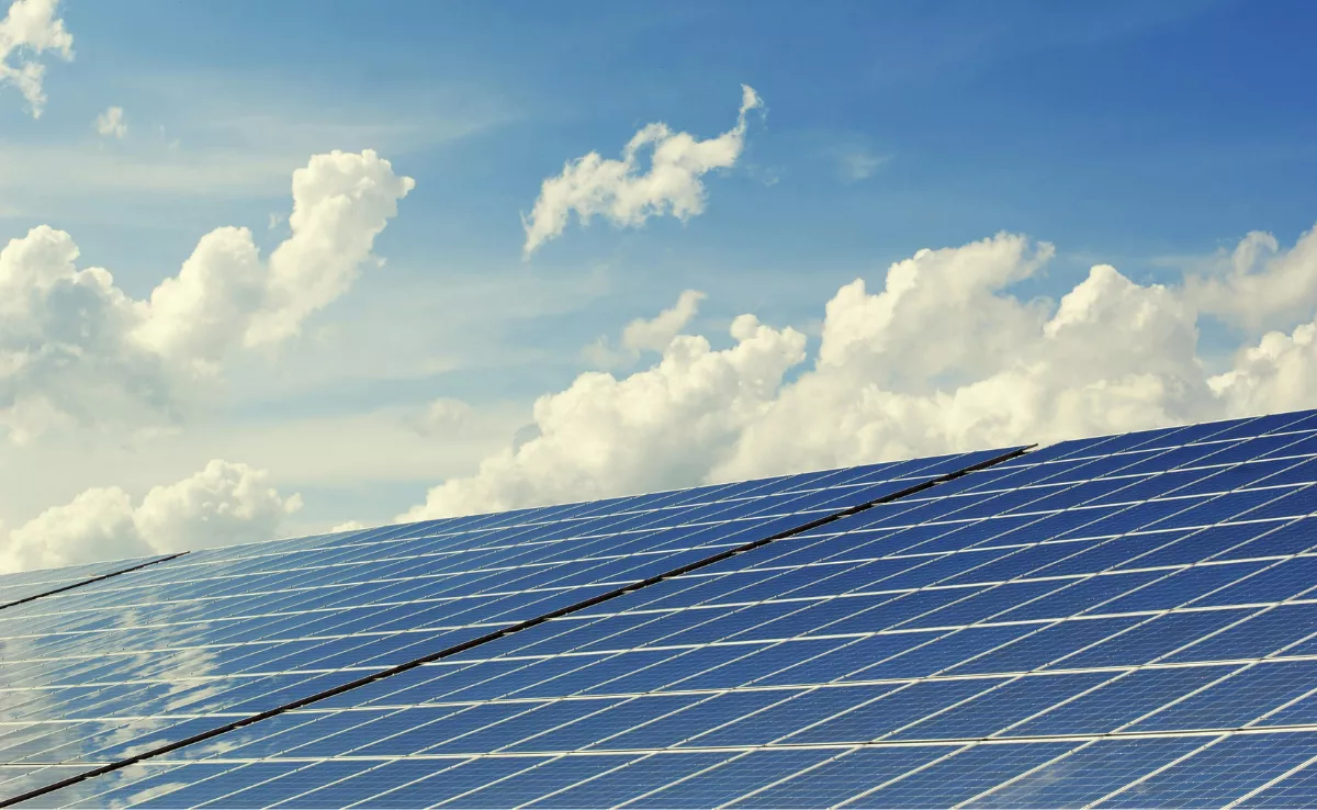 Imagen de placas solares / PEXELS 