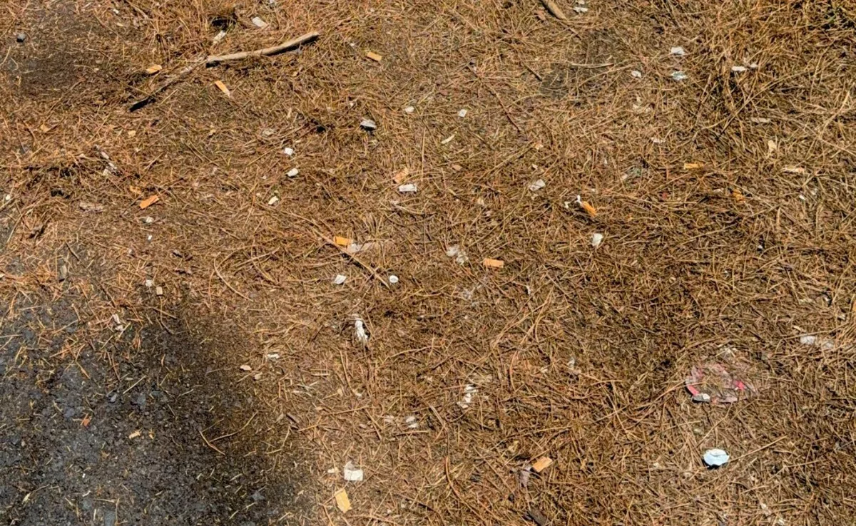 Colillas en el mirador de Chipeque en Tenerife. / ATLÁNTICO HOY