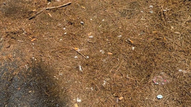 Colillas en el mirador de Chipeque en Tenerife. / ATLÁNTICO HOY