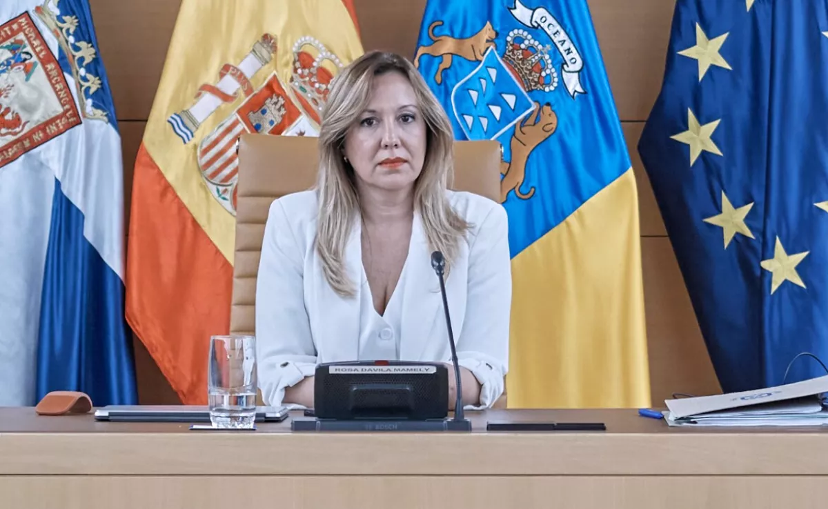 Rosa Dávila, presidenta del Cabildo de Tenerife|CEDIDA