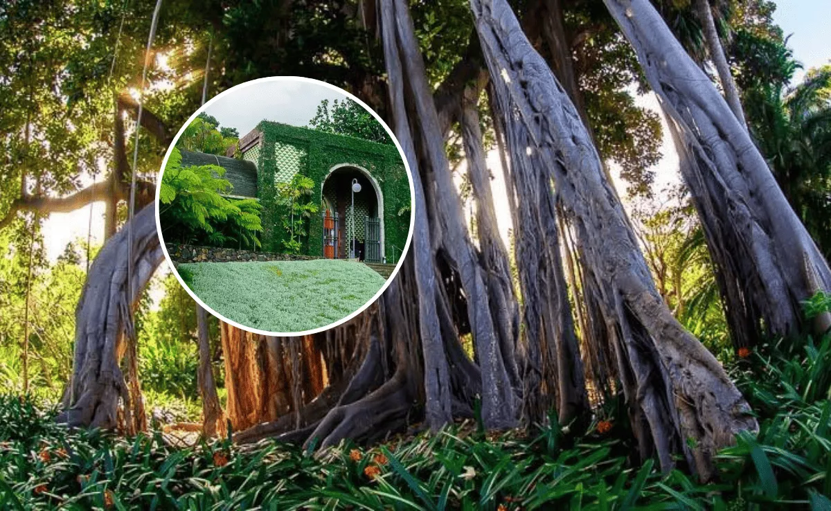 Imagen del jardín botánico / MONTAJE AH 