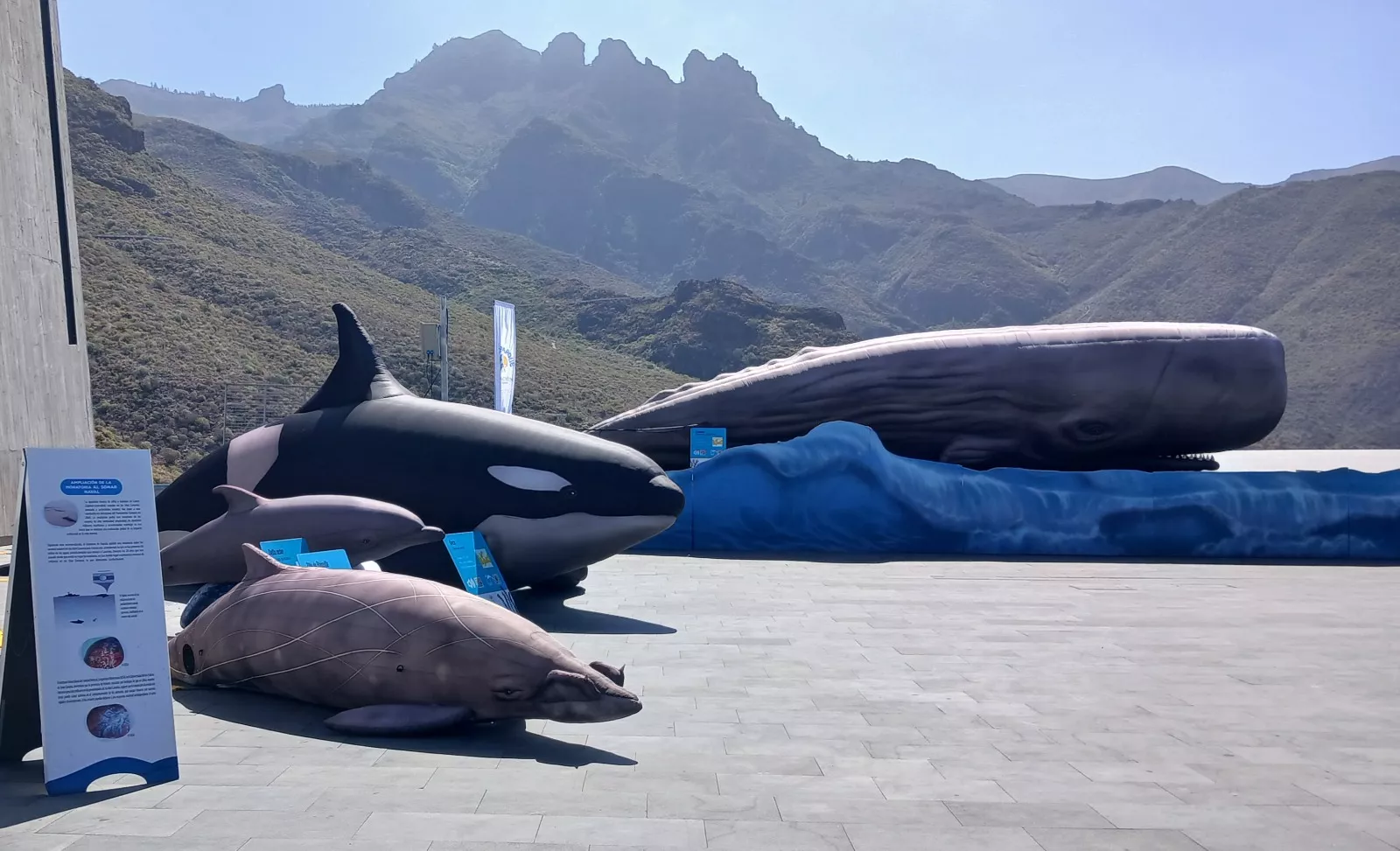 Exposición de cetáceos de Loro Parque. / CEDIDA