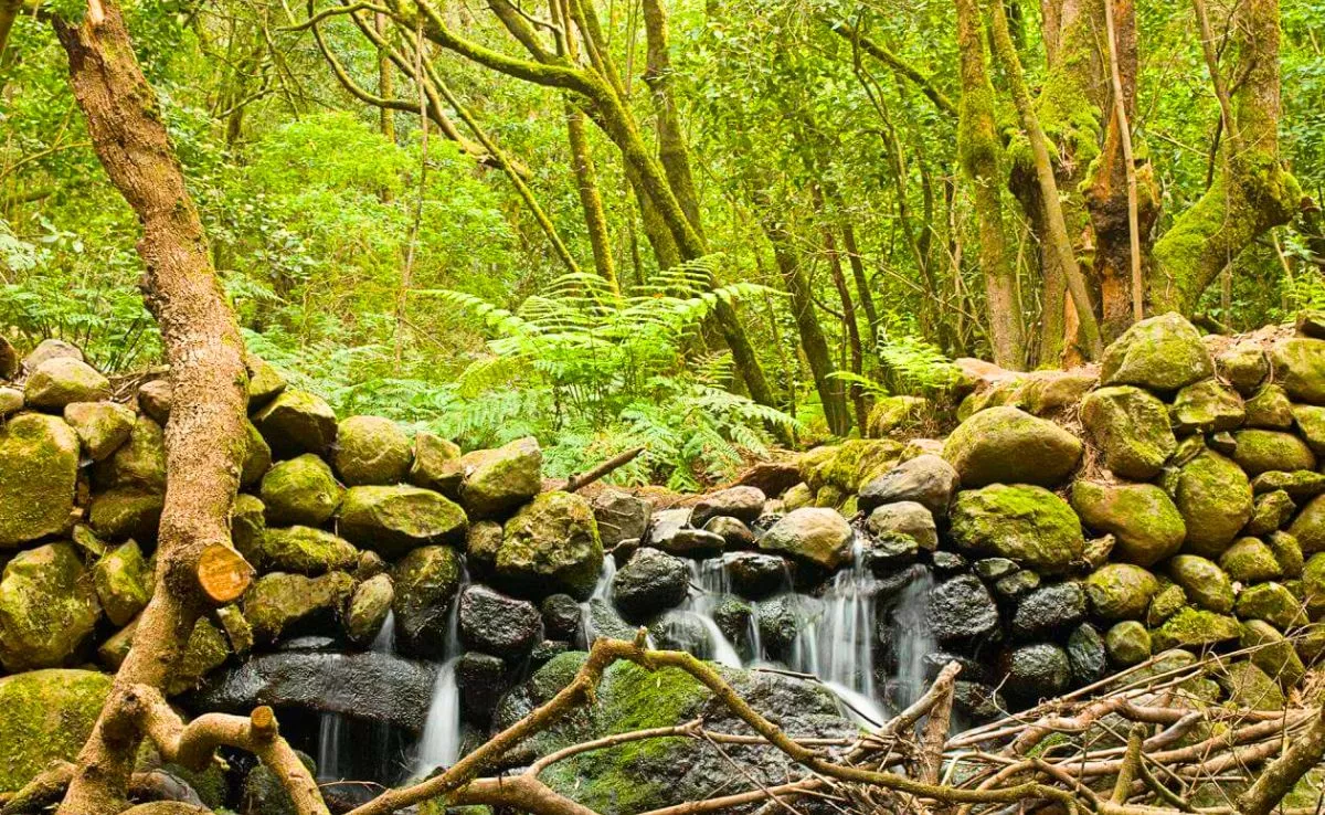 Imagen de la ruta que pasa por el sendero de Canarias / HOLA ISLAS CANARIAS