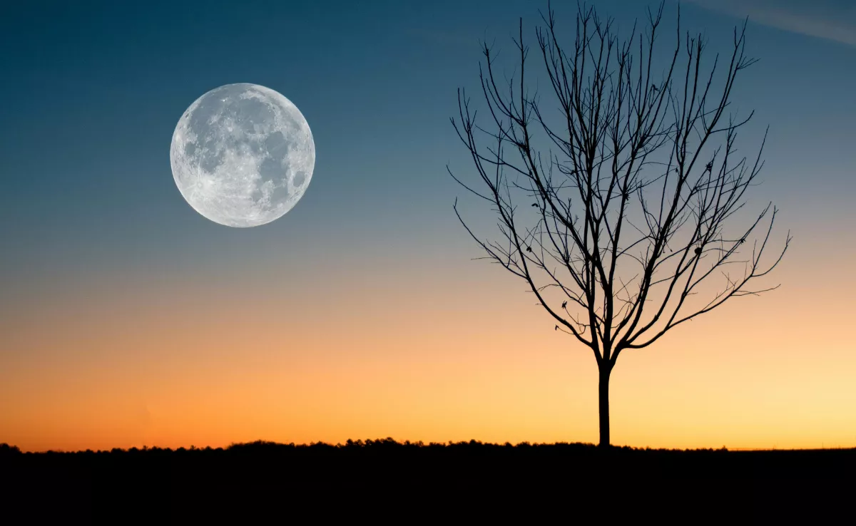 Imagen de una luna llena / PEXELS